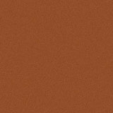 E2キャンディオレンジ