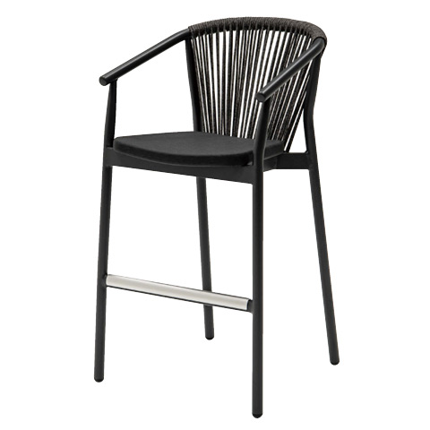 アンスラサイト