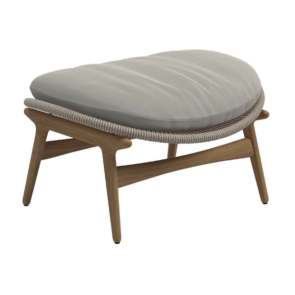 ファイバー：ソレル